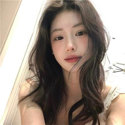 摄影师贝尔蒂与海豚零距离 海报
